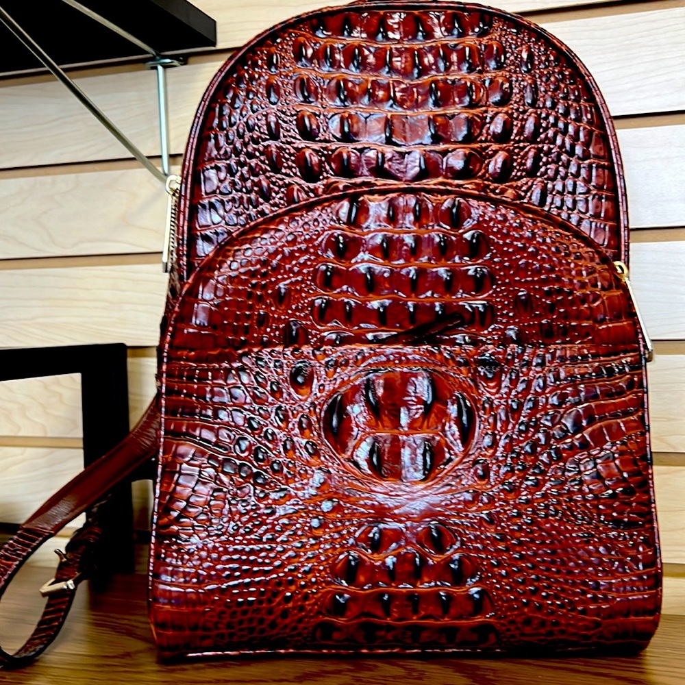 Brahmin Dartmouth backpack